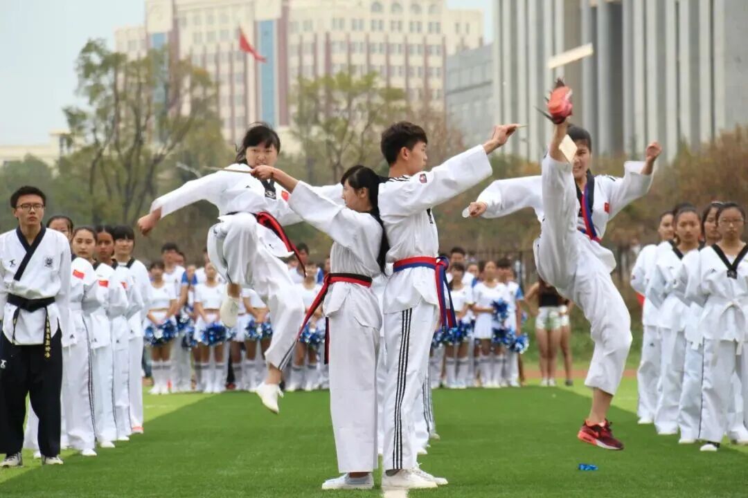 云南工商学院叶燎昆教授当选省学生体育协会副会长